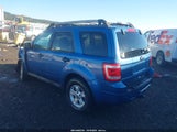 Ford Escape Xlt 1FMCU9D72AKC52041 снимка