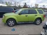 Ford Escape Xlt 1FMCU9DG9BKB71524 снимка