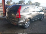 Honda Cr-V Se 5J6RE4H47BL066547 снимка