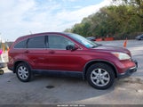Honda Cr-V Ex-L 5J6RE48769L022446 fotografie