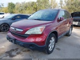 Honda Cr-V Ex-L 5J6RE48769L022446 fotografie