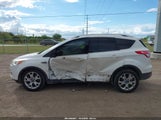 Ford Escape Titanium 1FMCU0J92EUD71848 fotografie
