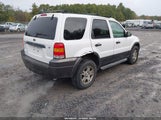 Ford Escape Xlt 1FMCU93175KC80758 fotografie