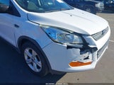 Ford Escape S 1FMCU0F70FUB89770 fotografie