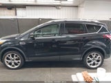 Ford Escape Titanium 1FMCU0J98DUB51015 fotografie