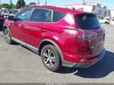 Toyota Rav4 Xle 2T3WFREV9JW430639 снимка