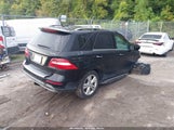 Mercedes-Benz Ml 350 4Matic 4JGDA5HBXEA375604 снимка