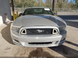 Ford Mustang V6 1ZVBP8AM7E5258141 снимка