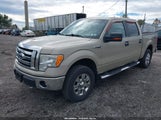 Ford F-150 Fx4/King Ranch/Lariat/Platinum/Xl/Xlt 1FTPW14V09FA94450 снимка