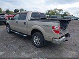 Ford F-150 Fx4/King Ranch/Lariat/Platinum/Xl/Xlt 1FTPW14V09FA94450 снимка