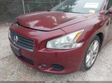 Nissan Maxima 3.5 Sv 1N4AA51E69C806256 снимка