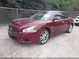 Nissan Maxima 3.5 Sv 1N4AA51E69C806256 снимка