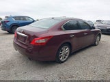 Nissan Maxima 3.5 Sv 1N4AA51E69C806256 снимка