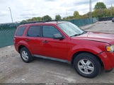 Ford Escape Xlt 1FMCU93G39KC04562 снимка