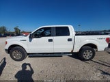 Ford F-150 Xlt 1FTFW1EF2BFB22600 снимка