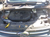 Ford Escape Se 1FMCU0G9XEUB39019 снимка