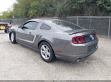 Ford Mustang V6 1ZVBP8AM8E5319898 снимка
