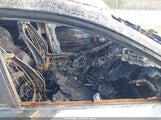 Kia Sportage Lx KNDPMCAC7H7293573 снимка