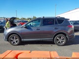 Toyota Rav4 Xle 2T3RFREV1HW665396 снимка