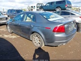 Acura Tl 19UUA66245A019969 снимка