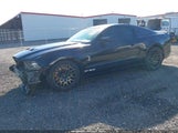 Ford Shelby Gt500 1ZVBP8JZ7E5271712 fotografie