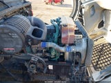 Miniaturka zdjęcia 10