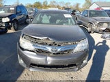 Toyota Camry Xle 4T1BF1FKXDU221170 fotografie