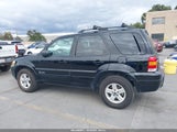Ford Escape Hybrid 1FMCU49H97KB91042 снимка