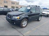 Ford Escape Hybrid 1FMCU49H97KB91042 снимка