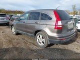 Honda Cr-V Ex-L 5J6RE4H78AL017298 fotografie