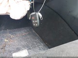 Miniaturka zdjęcia 11