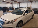 Hyundai Sonata Sport 2.0T 5NPE34AB2HH499497 photo