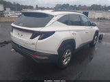 Hyundai Tucson Sel 5NMJBCAE5PH228760 снимка