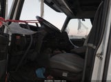 Miniaturka zdjęcia 5