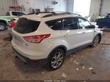 Ford Escape Sel 1FMCU9H92DUC12935 fotografie