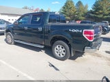 Ford F-150 Xlt 1FTFW1ET6EFA74416 снимка