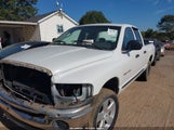 Dodge Ram  St 1D7HU18N35S213698 fotografie