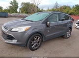 Ford Escape Sel 1FMCU0HX7DUA58698 снимка