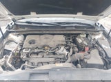 Toyota Camry Le 4T1B11HK0JU502238 photo