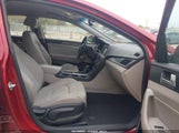 Hyundai Sonata Sport 5NPE34AF1GH354503 fotografie