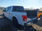 Ford F-150 Xlt 1FTEW1C89GKD45800 снимка