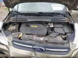 Ford Escape Se 1FMCU0GXXEUB17777 снимка