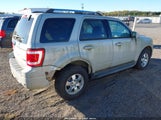 Ford Escape Limited 1FMCU94GX9KC31692 снимка