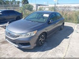Honda Accord Lx 1HGCR2F31HA230041 снимка