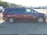 Honda Odyssey Ex-L 5FNRL5H65EB037820 снимка