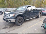 Ford F-150 Fx4/Harley-Davidson/King Ranch/Lariat/Platinum/Xl/Xlt 1FTFW1EV7AFB72303 fotografie