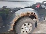 Ford F-150 Fx4/Harley-Davidson/King Ranch/Lariat/Platinum/Xl/Xlt 1FTFW1EV7AFB72303 снимка