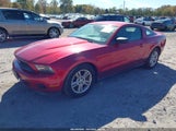 Ford Mustang V6 1ZVBP8AM4B5114039 снимка