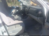 Toyota Tacoma Base V6 5TEUU42N38Z524535 fotografie