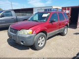 Ford Escape Xlt 1FMYU03Z87KB07230 снимка